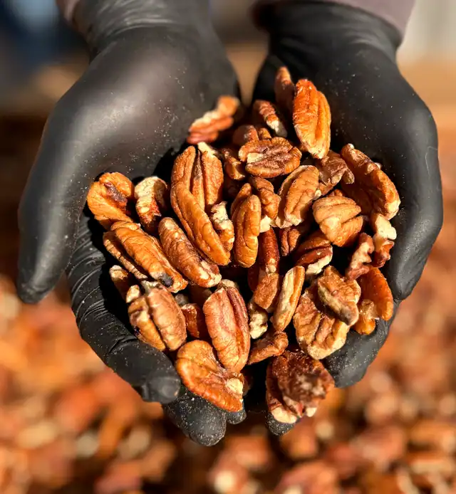 Nuez Pecan
