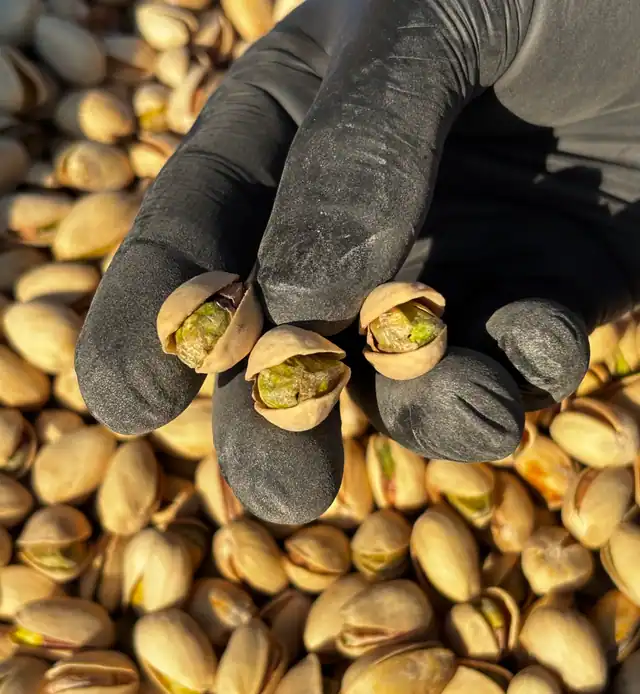 Pistacho Tostado y Salado c/Cáscara